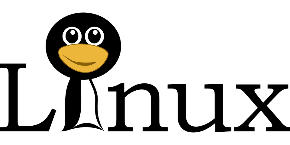 Linux: Imagen Principal