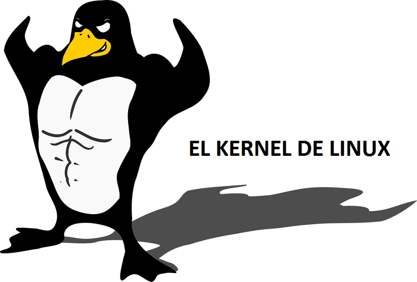 Kernel de Linux: ¿Que es un Kernel?