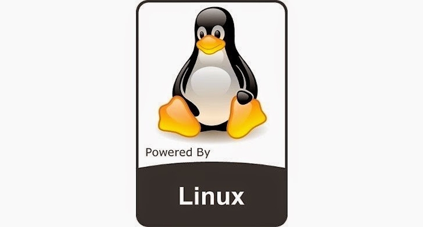 Kernel de Linux: Novedades del Kernel 5.2.10